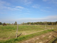 /album/les-ecuries-de-so/img-2985-1-jpg/